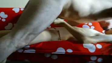 ABG Bispak Jakarta Hotel Bintang Lima Skandal Live Viral